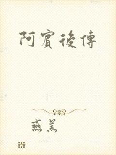 阿宾后传