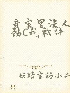 哥家里没人使点劲C我软件