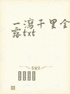 一泻千里金银花露txt