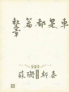 整篇都是车的文章