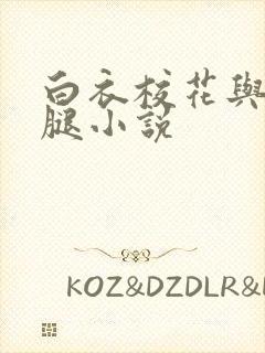 白衣校花与大长腿小说