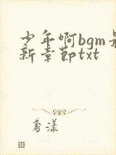 少年啊bgm最新章节txt