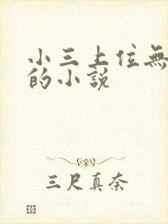 小三上位无三观的小说