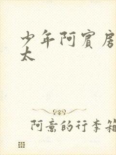 少年阿宾房东太太