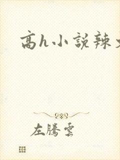 高h小说辣文