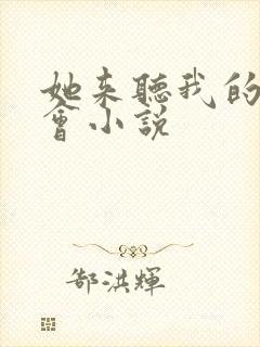 她来听我的演唱会小说