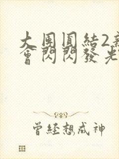 大团圆结2亲情会闪闪发光亲情会2