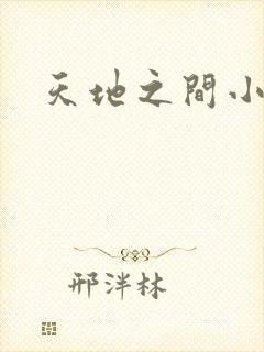 天地之间小说