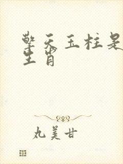 擎天玉柱是什么生肖