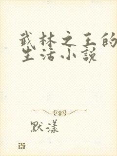 武林之王的退隐生活小说