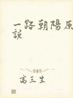 一路朝阳原著小说