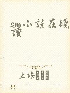 sm小说在线阅读