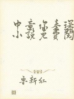 中意你秦琛苏沫小说免费阅读