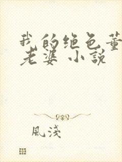 我的绝色董事长老婆 小说