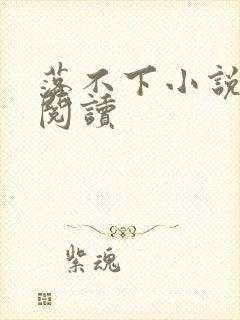落不下小说免费阅读