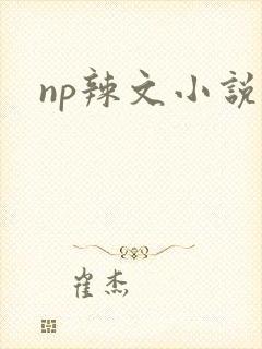 np辣文小说