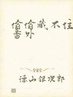 偷偷藏不住新婚番外