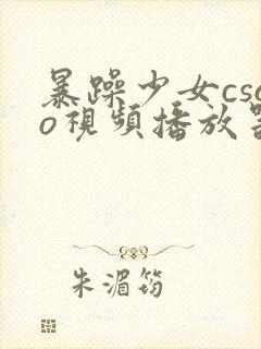 暴躁少女csgo视频播放器推荐