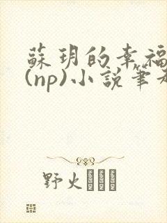 苏玥的幸福生活(np)小说笔趣阁