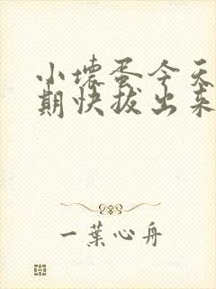 小坏蛋今天危险期快拔出来