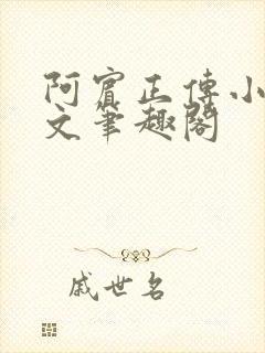 阿宾正传小说全文笔趣阁