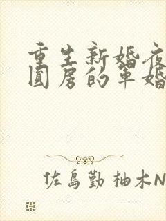 重生新婚夜正在圆房的军婚