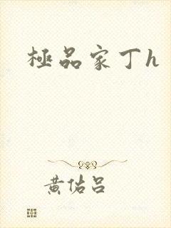极品家丁h