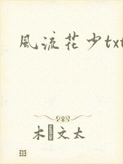 风流花少txt