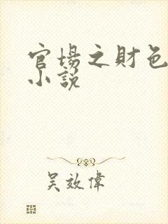 官场之财色诱人小说