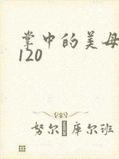 掌中的美母版主120