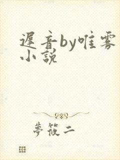 迟音by唯雾的小说