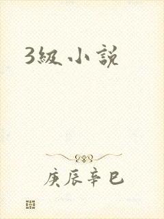 3级小说