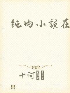 纯肉小说在线