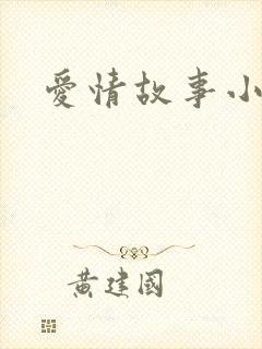 爱情故事小说