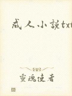 成人小说txt