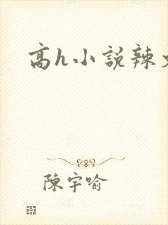 高h小说辣文