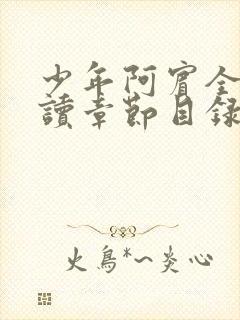 少年阿宾全文阅读章节目录