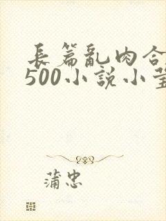 长篇乱肉合集乱500小说小莹