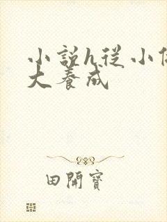 小说h从小做到大养成