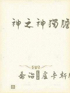 神之神独胆王