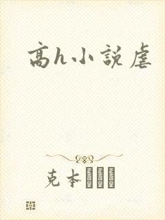 高h小说虐