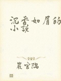 沉香如屑的原著小说