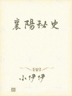 襄阳秘史