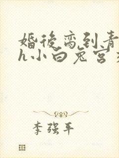 婚后脔到青梅哭h小白兔宫交h