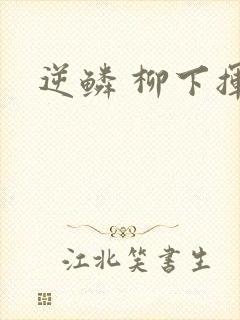 逆鳞 柳下挥