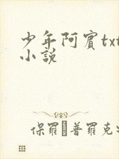 少年阿宾txt小说