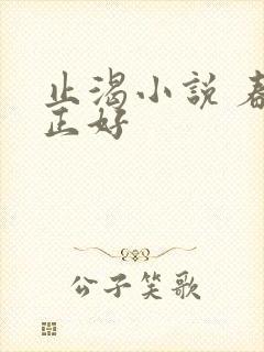 止渴小说 春光正好