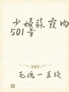 少妇苏霞肉欲第501章