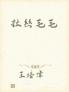 拉丝毛毛