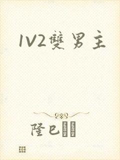 1V2双男主